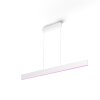 Philips HUE WHITE & COLOUR AMBIANCE ENSIS Pendant Light LED white, 2-light sources, Colour changer