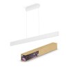 Philips HUE WHITE & COLOUR AMBIANCE ENSIS Pendant Light LED white, 2-light sources, Colour changer