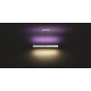 Philips HUE WHITE & COLOUR AMBIANCE ENSIS Pendant Light LED white, 2-light sources, Colour changer