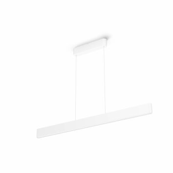 Philips HUE WHITE & COLOUR AMBIANCE ENSIS Pendant Light LED white, 2-light sources, Colour changer
