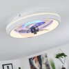 TIRKKALA ceiling fan LED white, 1-light source
