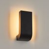 KIRKHALL Outdoor Wall Light LED black, 1-light source