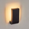 KIRKHALL Outdoor Wall Light LED black, 1-light source