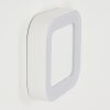 PALEROO Outdoor Wall Light LED white, 1-light source