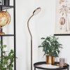 HALTIA Floor Lamp LED bronze, 1-light source