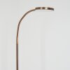 HALTIA Floor Lamp LED bronze, 1-light source