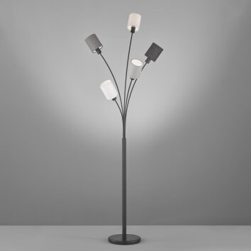 Fischer & Honsel KOI Floor Lamp black, 5-light sources