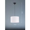 Fischer & Honsel VIGO Pendant Light black, 1-light source