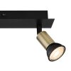 Globo DREW Wall Light black, 2-light sources