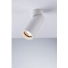Luce-Design GENESIS-R6 Ceiling Light, 1-light source