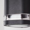 AMYTON Outdoor Wall Light black, 2-light sources