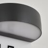 FLETCHER Outdoor Wall Light LED anthracite, 2-light sources