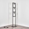 BASS Floor Lamp black, 3-light sources