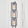 BASS Floor Lamp black, 3-light sources