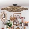 SHELBOURNE Ceiling Light black, 1-light source