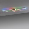 Leuchten-Direkt FELIX60 Ceiling Light LED brushed steel, 1-light source, Remote control, Colour changer