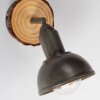 Leuchten-Direkt SWAMP Wall Light Ecru, 1-light source