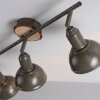 Leuchten-Direkt SWAMP Ceiling Light Ecru, 3-light sources