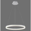 Paul-Neuhaus TITUS Pendant Light LED white, 1-light source