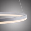 Paul-Neuhaus TITUS Pendant Light LED white, 1-light source