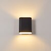 Vion Wall Light black, 2-light sources