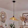 CALLIDE Pendant Light black, 1-light source