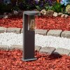 RADNOR pedestal light anthracite, 1-light source
