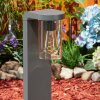 RADNOR path light clear, 1-light source