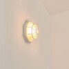 IBACACHE Outdoor Wall Light white, 1-light source
