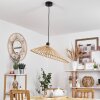 CALLIDE Pendant Light black, 1-light source