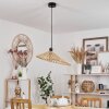 CALLIDE Pendant Light black, 1-light source