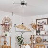 CALLIDE Pendant Light black, 1-light source