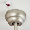 MORINO ceiling fan Ecru, matt nickel, 2-light sources, Remote control