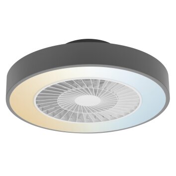 LEDVANCE SMART ceiling fan grey, 1-light source, Remote control
