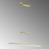 Fischer & Honsel  TENSO TW Pendant Light LED brass, 1-light source
