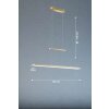Fischer & Honsel  TENSO TW Pendant Light LED brass, 1-light source