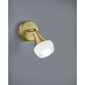 Trio-Leuchten Trumpet Wall Light brass, 1-light source
