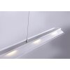 Leuchten-Direkt NELE Pendant Light LED stainless steel, 5-light sources