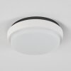 CENTINELA outdoor ceiling light LED anthracite, white, 1-light source