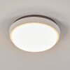 CENTINELA outdoor ceiling light LED anthracite, white, 1-light source