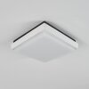 GOMERO outdoor ceiling light LED anthracite, white, 1-light source