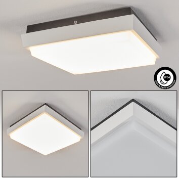 GOMERO outdoor ceiling light LED anthracite, white, 1-light source