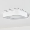 PALEROO outdoor ceiling light LED white, 1-light source
