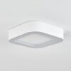 PALEROO outdoor ceiling light LED white, 1-light source