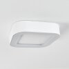 PALEROO outdoor ceiling light LED white, 1-light source