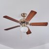 APIAO ceiling fan brown, light brown, Wood like finish, silver, 1-light source