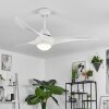 MALLOA ceiling fan LED white, 1-light source, Remote control
