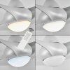 MALLOA ceiling fan LED titanium, 1-light source, Remote control
