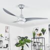MALLOA ceiling fan LED titanium, 1-light source, Remote control
