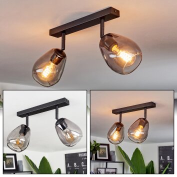 CHAIGUAO Ceiling Light black, 2-light sources